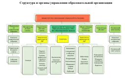 Структура и органы управления образовательной организации
